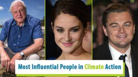 How Environmental Justice Case Studies Can Inspire Celebrity Activism